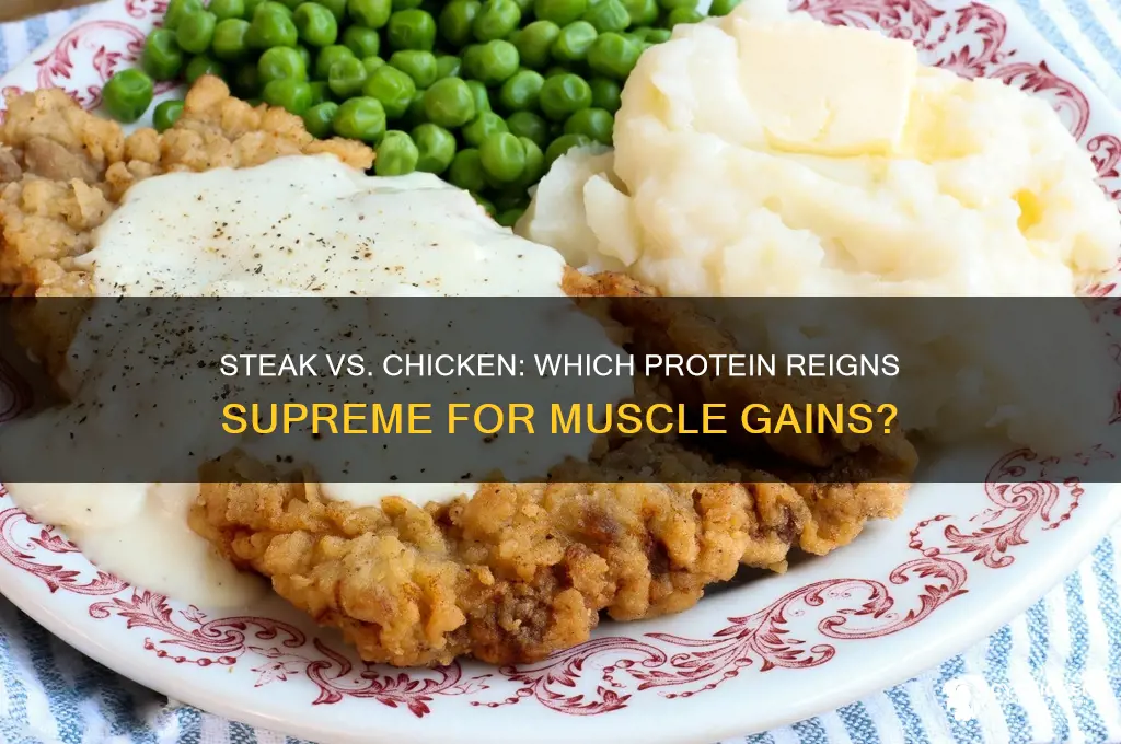 is steak or chicken better for gains guys