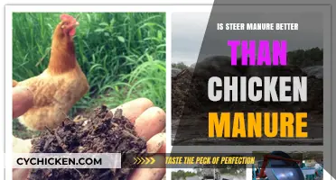 Steer vs. Chicken Manure: Which Fertilizer Boosts Your Garden Best?