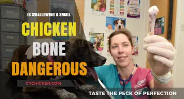 Swallowing Chicken Bones: Risks, Symptoms, and When to Seek Help
