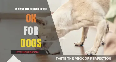 Can Dogs Safely Enjoy Swanson Chicken Broth?