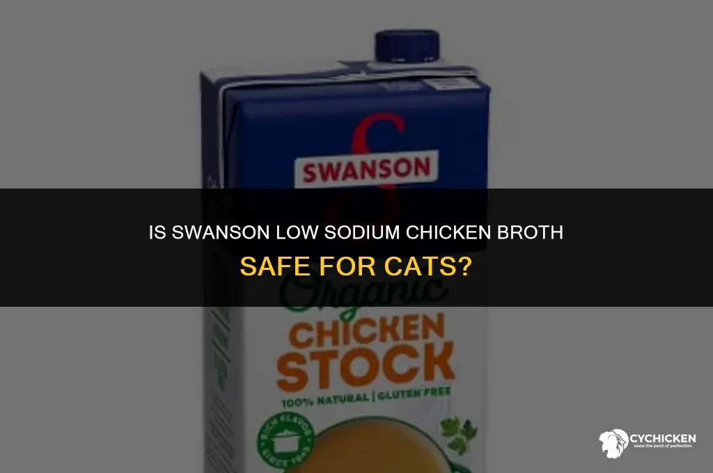 is swanson low sodium chicken broth bad for cat