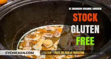 Is Swanson Organic Chicken Stock Gluten-Free? A Complete Guide