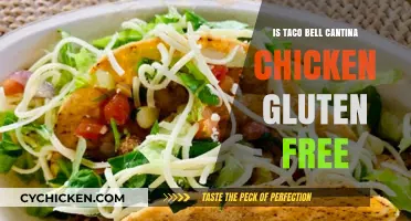 Is Taco Bell Cantina Chicken Gluten-Free? A Complete Guide