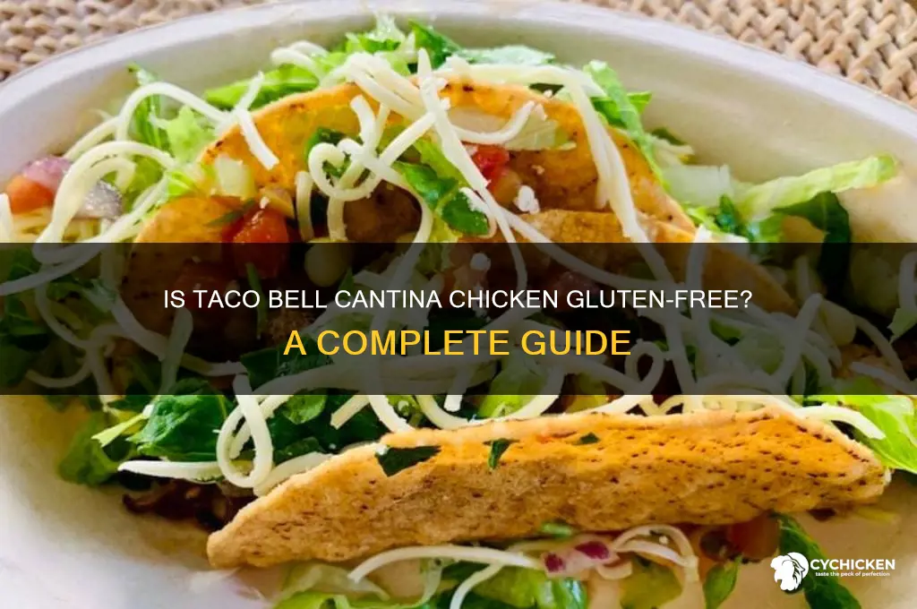 is taco bell cantina chicken gluten free