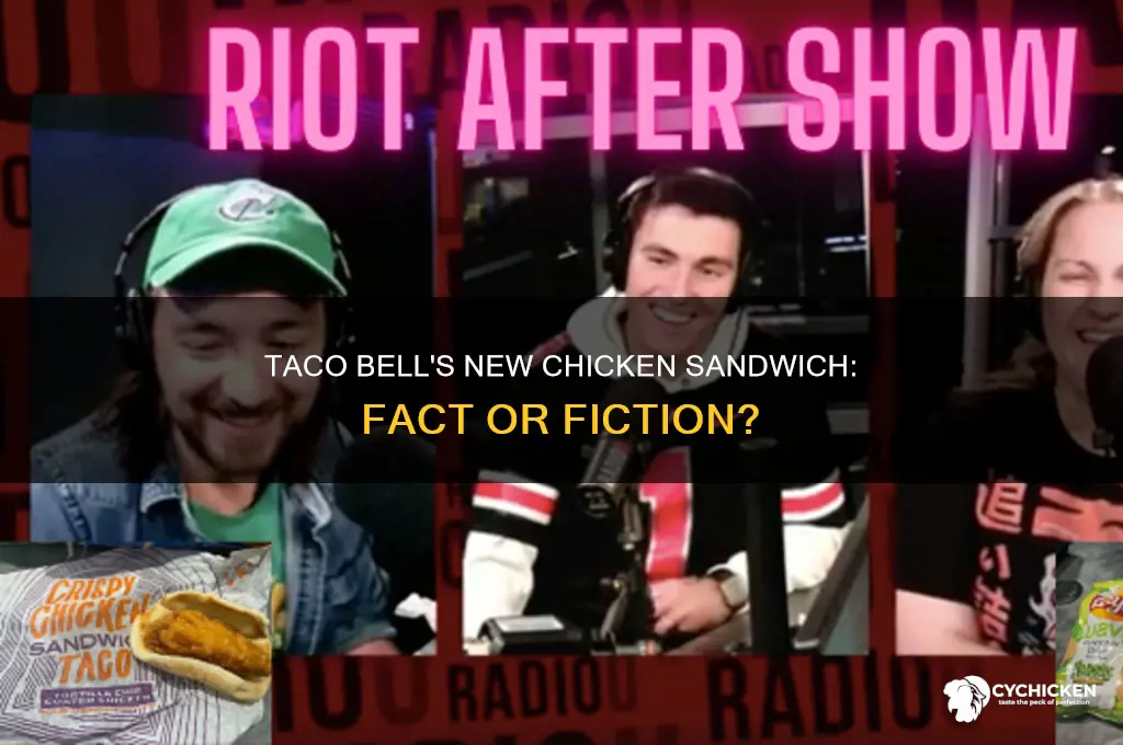 is taco bell coming out with a chicken sandwich