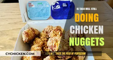 Are Taco Bell's Chicken Nuggets Still on the Menu?