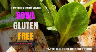 Gluten-Free Cantina Chicken Bowl at Taco Bell: Safe to Eat?