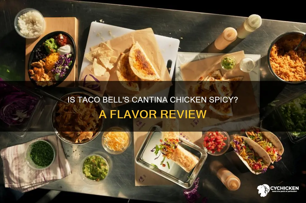 is taco bell