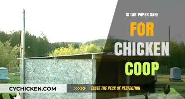 Exploring the Safety of Tar Paper in Chicken Coops: A Comprehensive Guide
