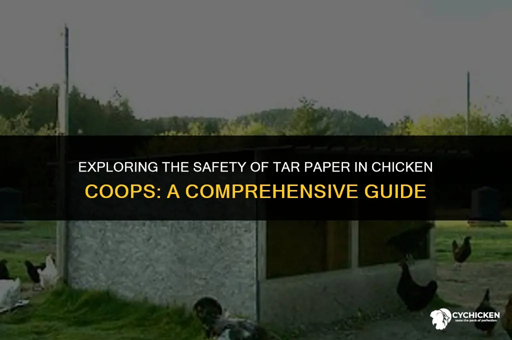 is tar paper safe for chicken coop
