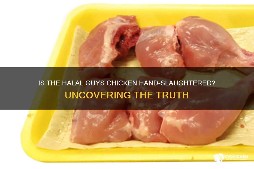 is teh halal guys chicken hand slaughtered
