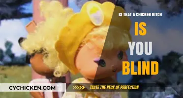 Are You Blind? That's Clearly a Chicken, Not a Bitch!