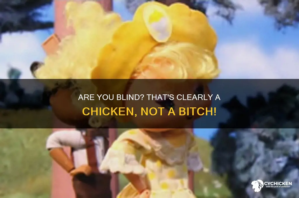 is that a chicken bitch is you blind