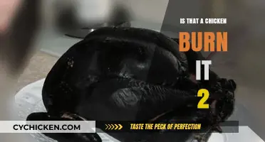 Is That a Chicken? Burn It 2: Unraveling the Viral Meme Mystery