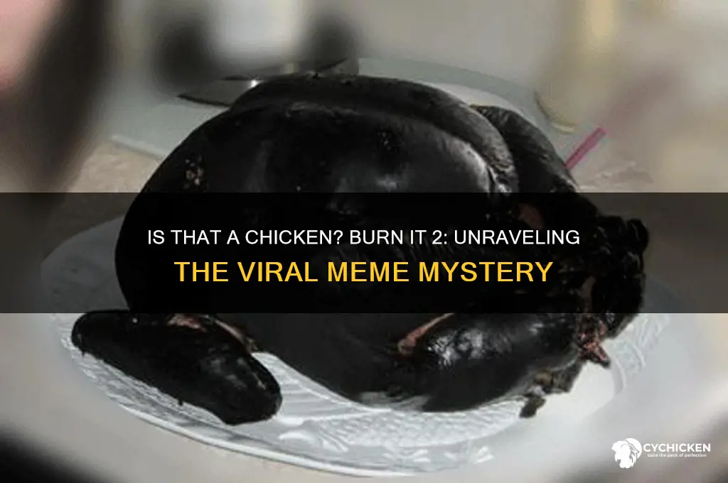 is that a chicken burn it 2