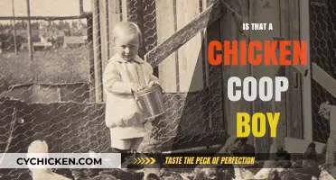 Backyard Chronicles: Unraveling the Mystery of the Chicken Coop Boy