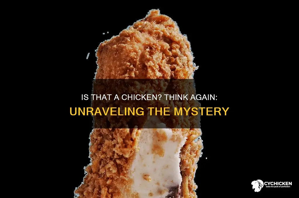 is that a chicken eh try again