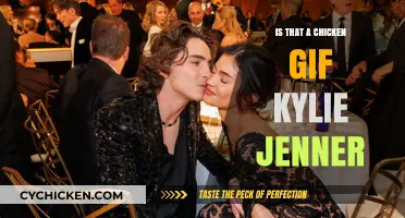 Is That a Chicken GIF? Kylie Jenner's Viral Moment Explained