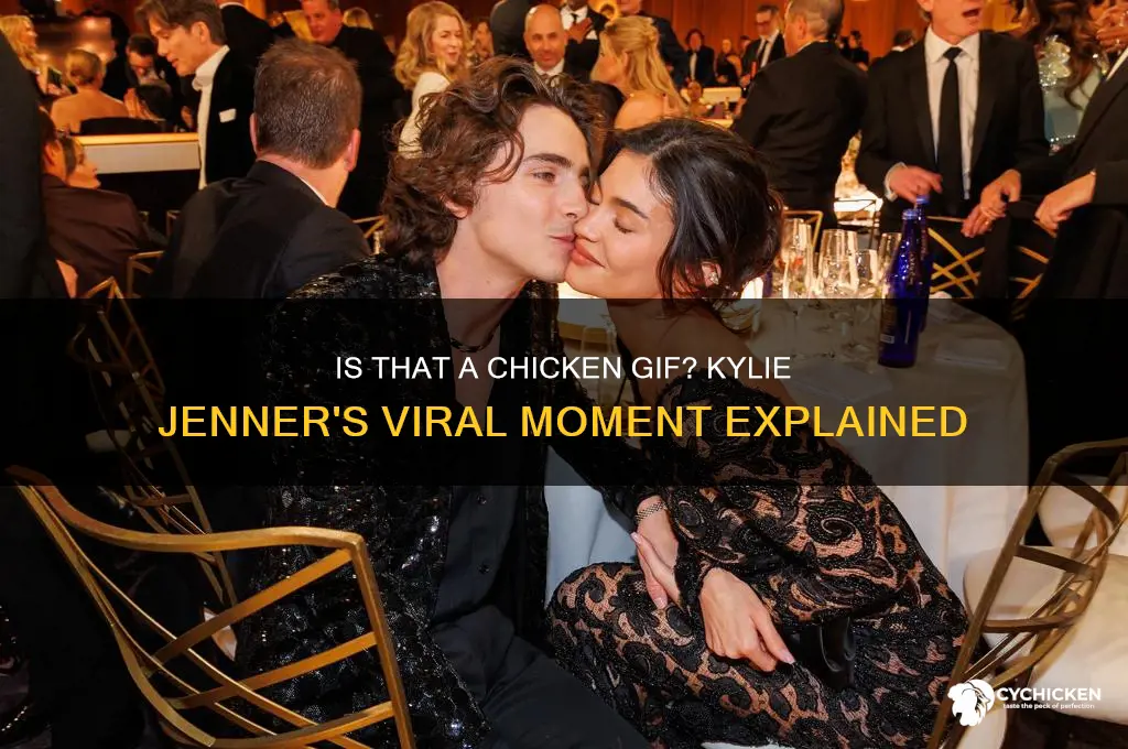 is that a chicken gif kylie jenner