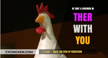 Is That a Chicken in There with You? Unraveling the Mystery