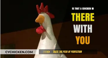 Is That a Chicken in There with You? Unraveling the Mystery