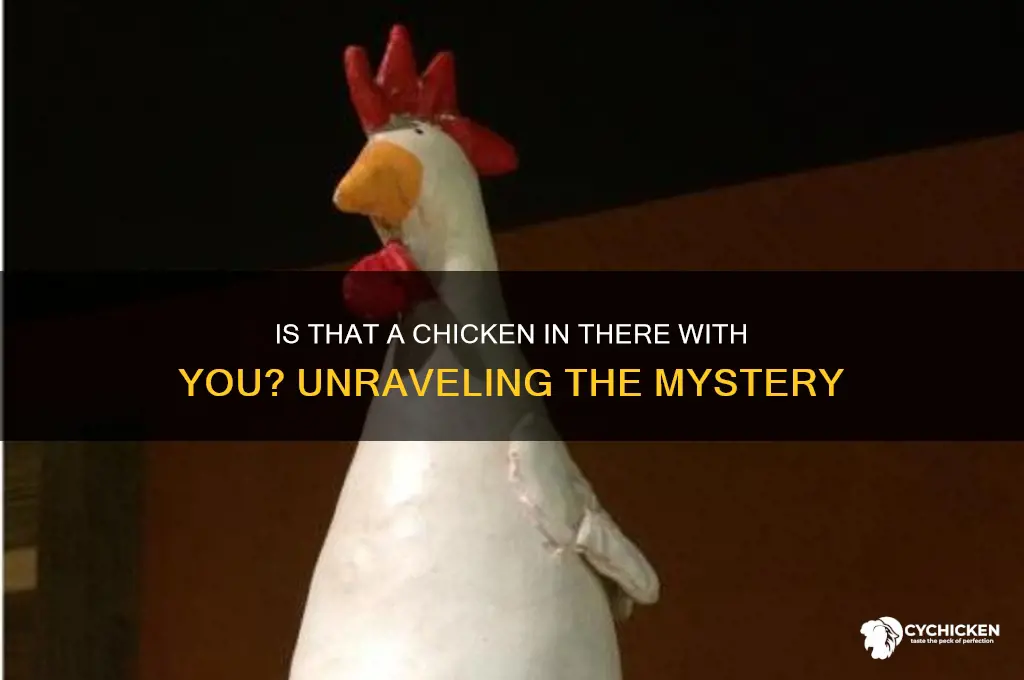 is that a chicken in there with you