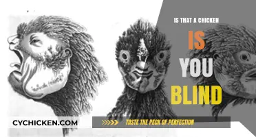Are You Blind? That’s No Chicken—Here’s Why You’re Wrong