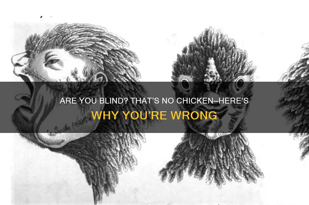 is that a chicken is you blind