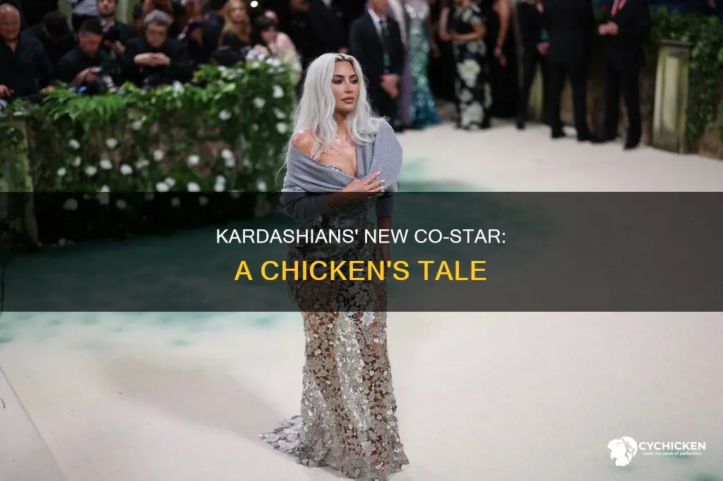 is that a chicken keeping up with the kardashians