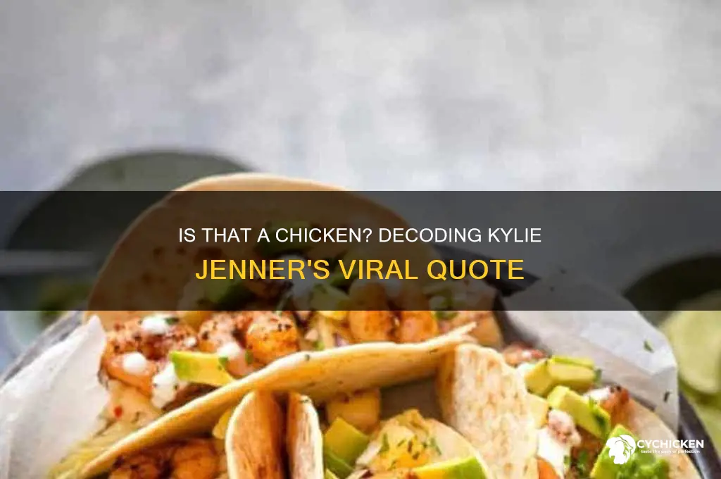 is that a chicken kily jenner quote