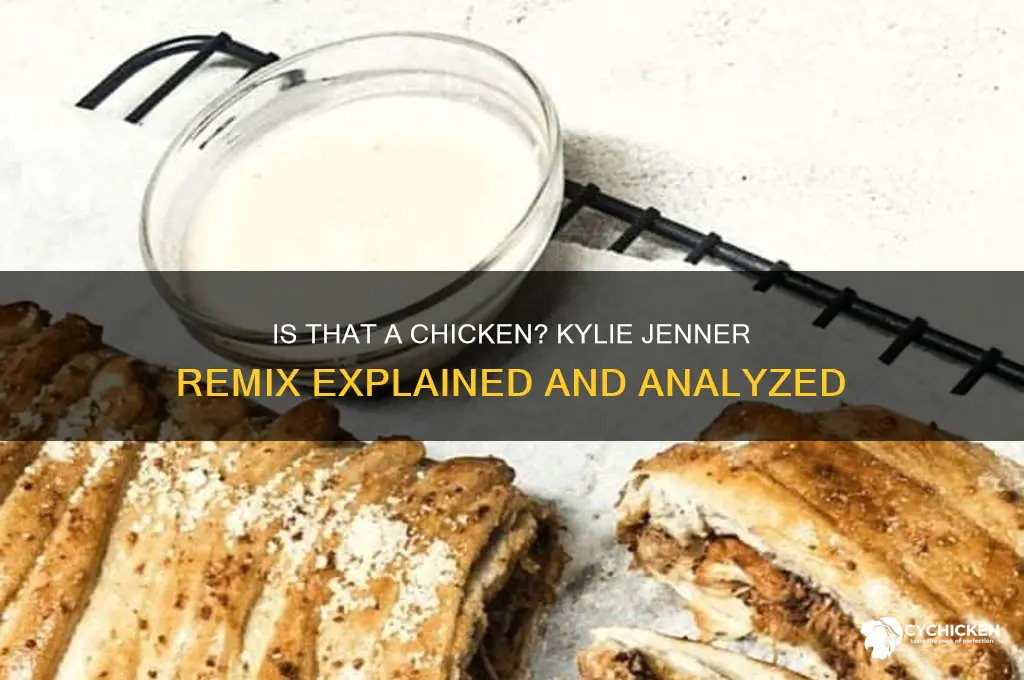 is that a chicken kylie jenner remix