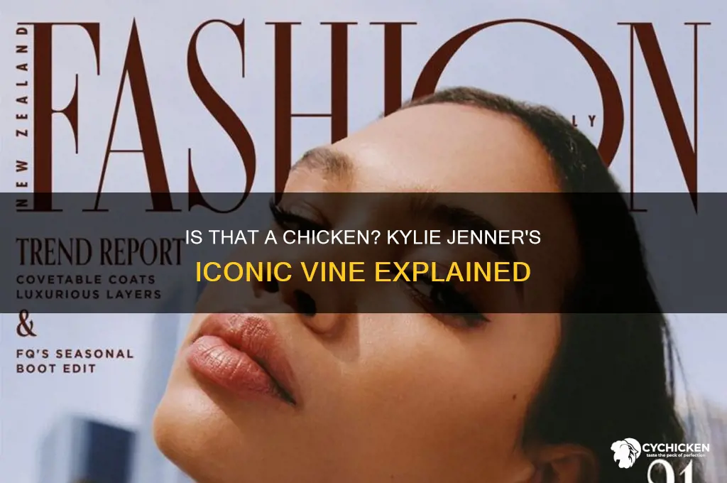 is that a chicken kylie jenner vine