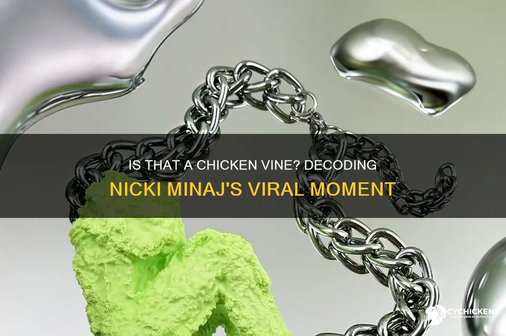 is that a chicken vine nicki minaj