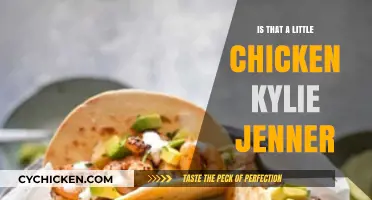 Is That a Little Chicken? Kylie Jenner's Viral Moment Explained