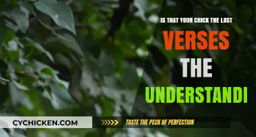 Lost Verses: Understanding the Chick's Journey