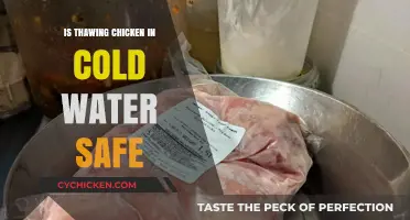 Is Thawing Chicken in Cold Water Safe? A Complete Guide