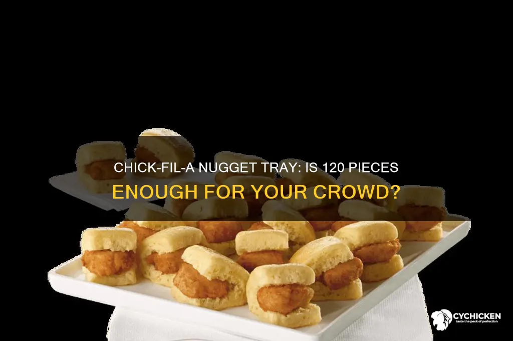 is the 120 piece chick fil a nugget tray enough