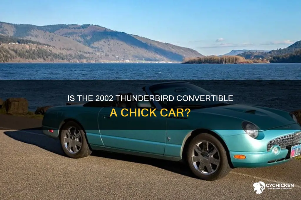 is the 2002 thunderbird convertible a chick car