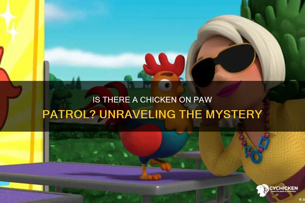 is the a chicken on paw patrol