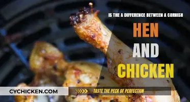 Cornish Hens vs Chickens: What's the Difference?