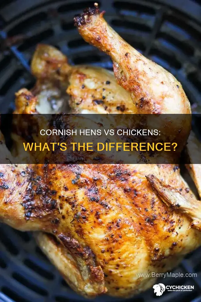 is the a difference between a cornish hen and chicken