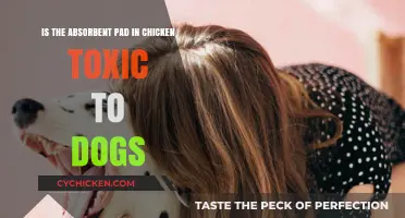 Chicken Absorbent Pads: Are They Toxic to Dogs?