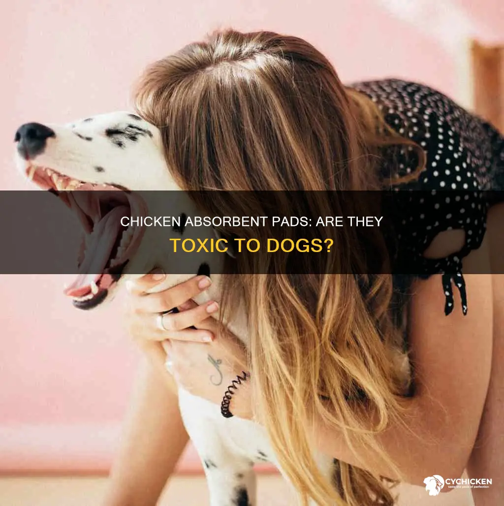 is the absorbent pad in chicken toxic to dogs