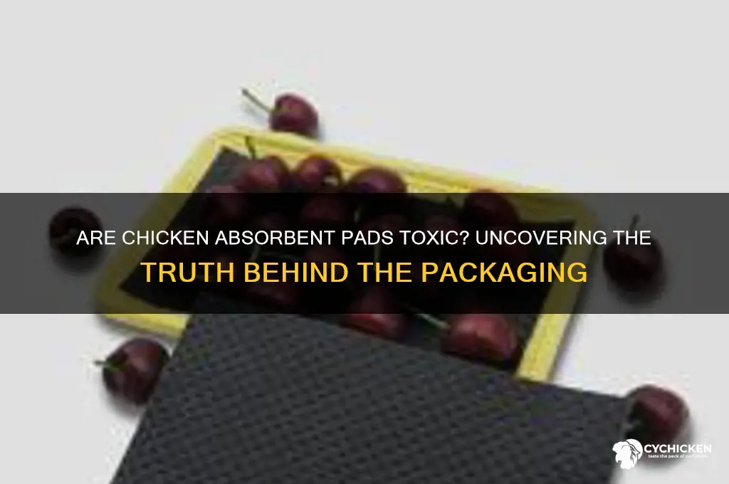 is the absorbent pad under chicken toxic