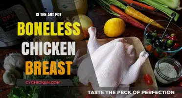 Exploring the Myth: Is Ant Pot Really Boneless Chicken Breast?