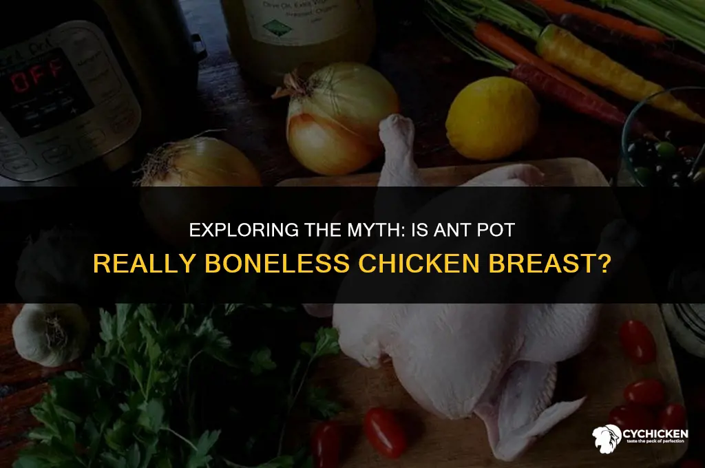 is the ant pot boneless chicken breast