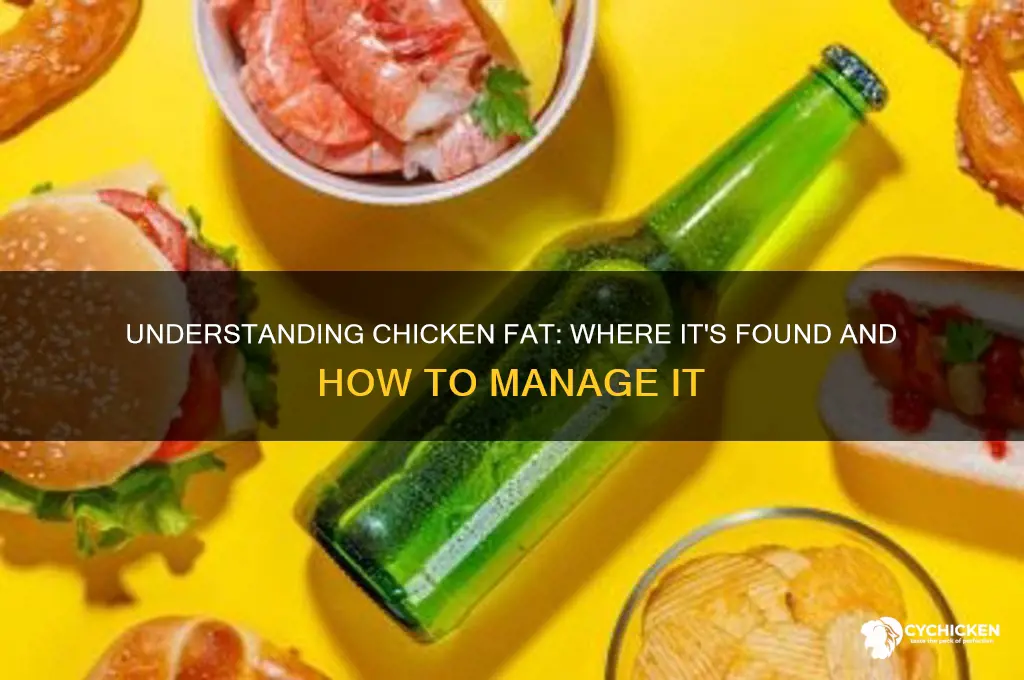 is the any fat on a chicken