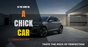 Is the Audi Q5 a Chick Car? Debunking Gender Stereotypes