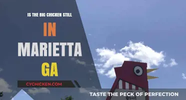 Is the Big Chicken Still Standing in Marietta, GA?