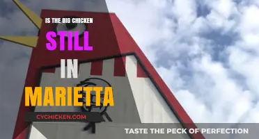 Is Marietta's Iconic Big Chicken Still Standing? Find Out Here